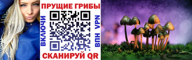 Галлюциногенные грибы ЛСД  Долгопрудный 